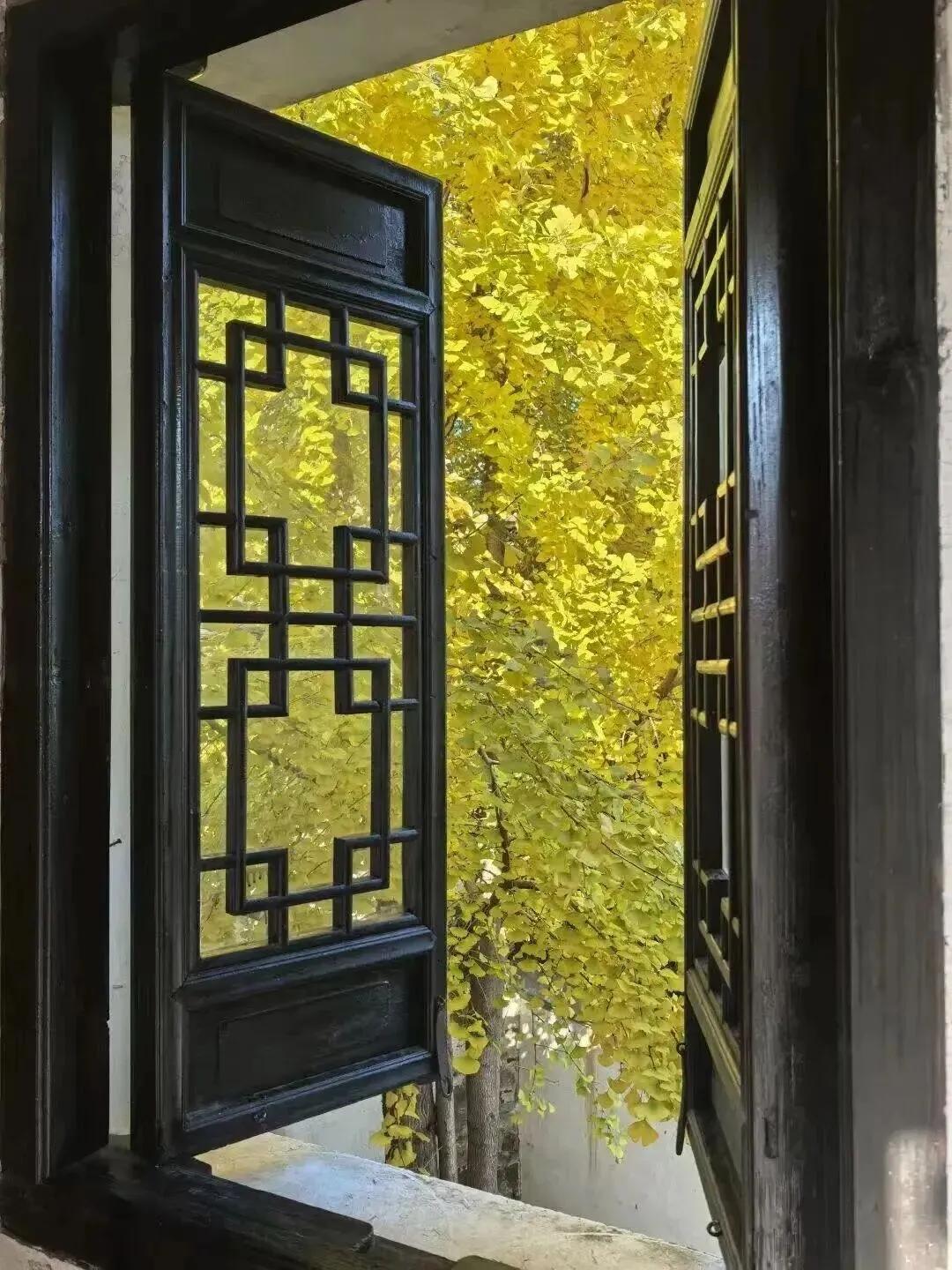 【当你的心变得精致，愿你既能朝九晚五，也能心有天涯】
        当你的心变