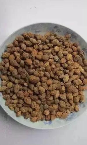 前列腺增生，中医调治有章法！3组对药不留余地

我坐诊这些年，来看排尿不畅、夜尿
