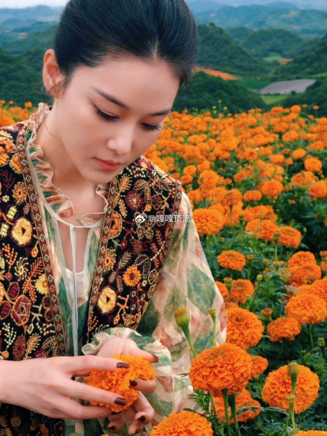张馨予云南花海里画花 云南的花海，是大自然最慷慨的馈赠，五彩斑斓似梦之境。张馨予