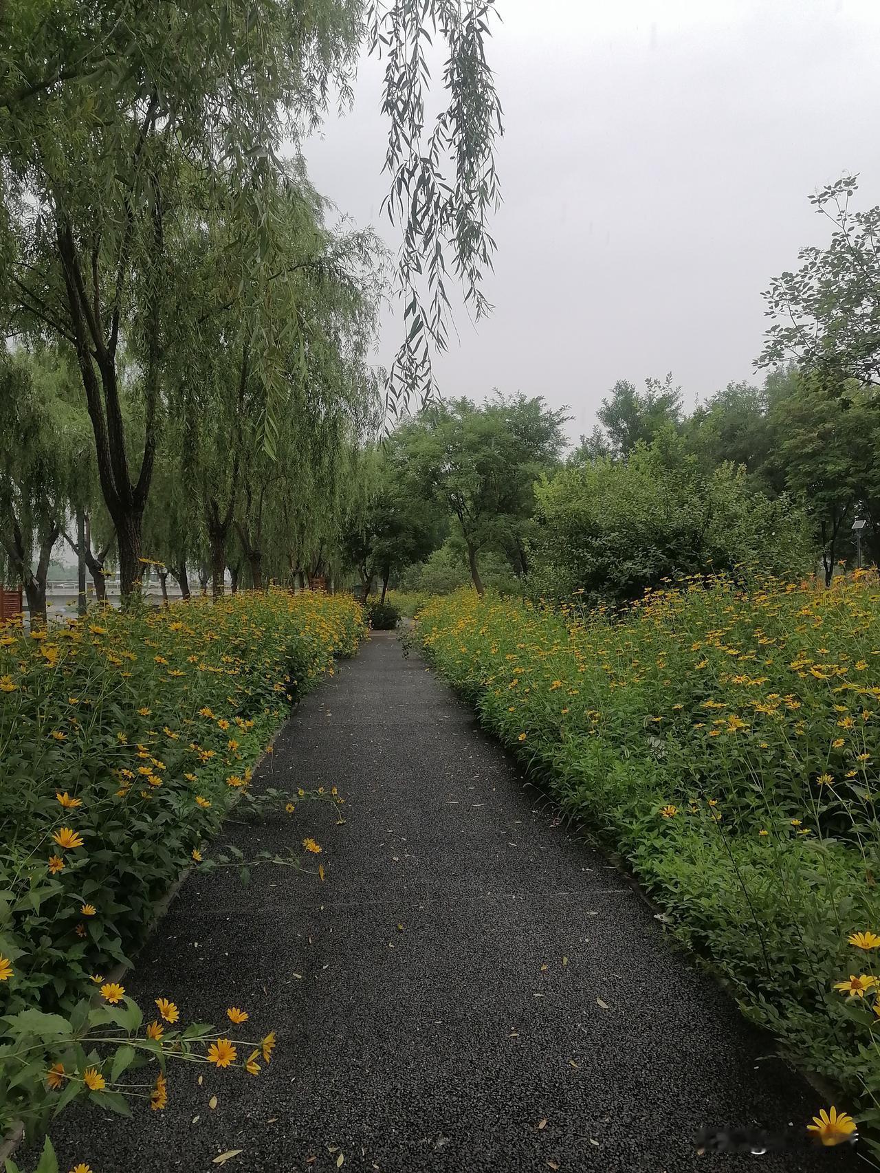 北京7月26日天气：早晨轻雾，多云间阴，加分散雷阵雨。气温：24℃~32℃。风力