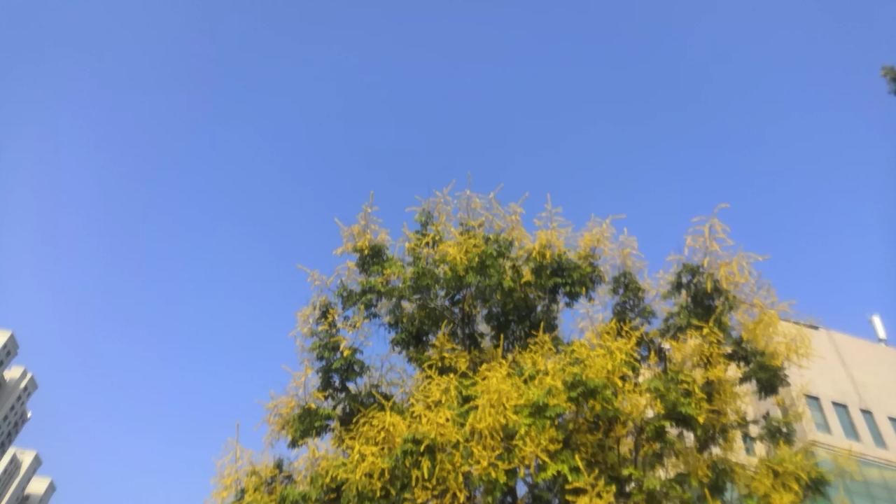 无论怎样，都要做一个有灵魂的人，爱自己所爱，做自己想做的事。就像刀郎说的，无论经