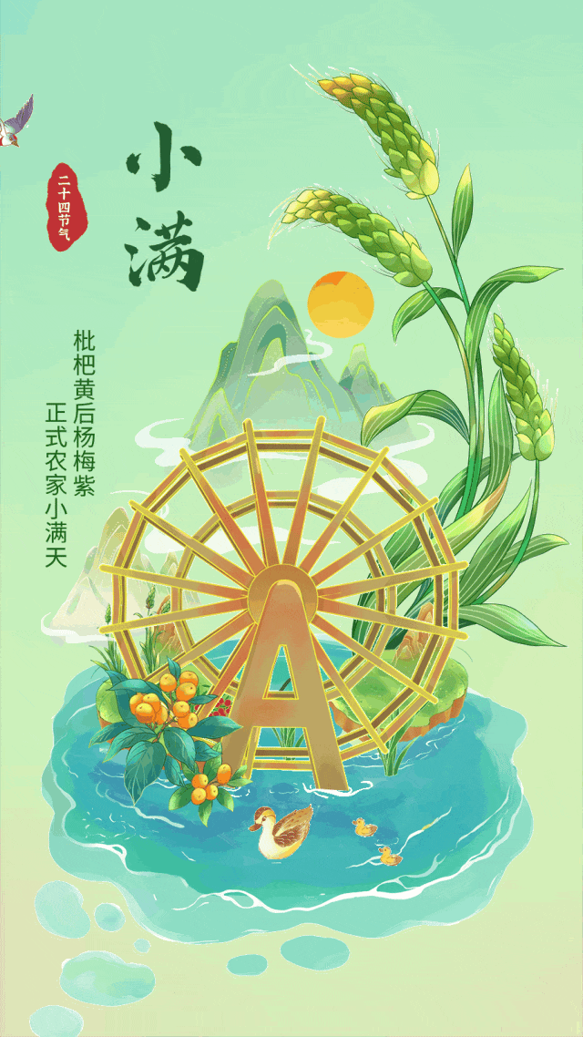 盈而未满的小确幸——#小满# ​​​