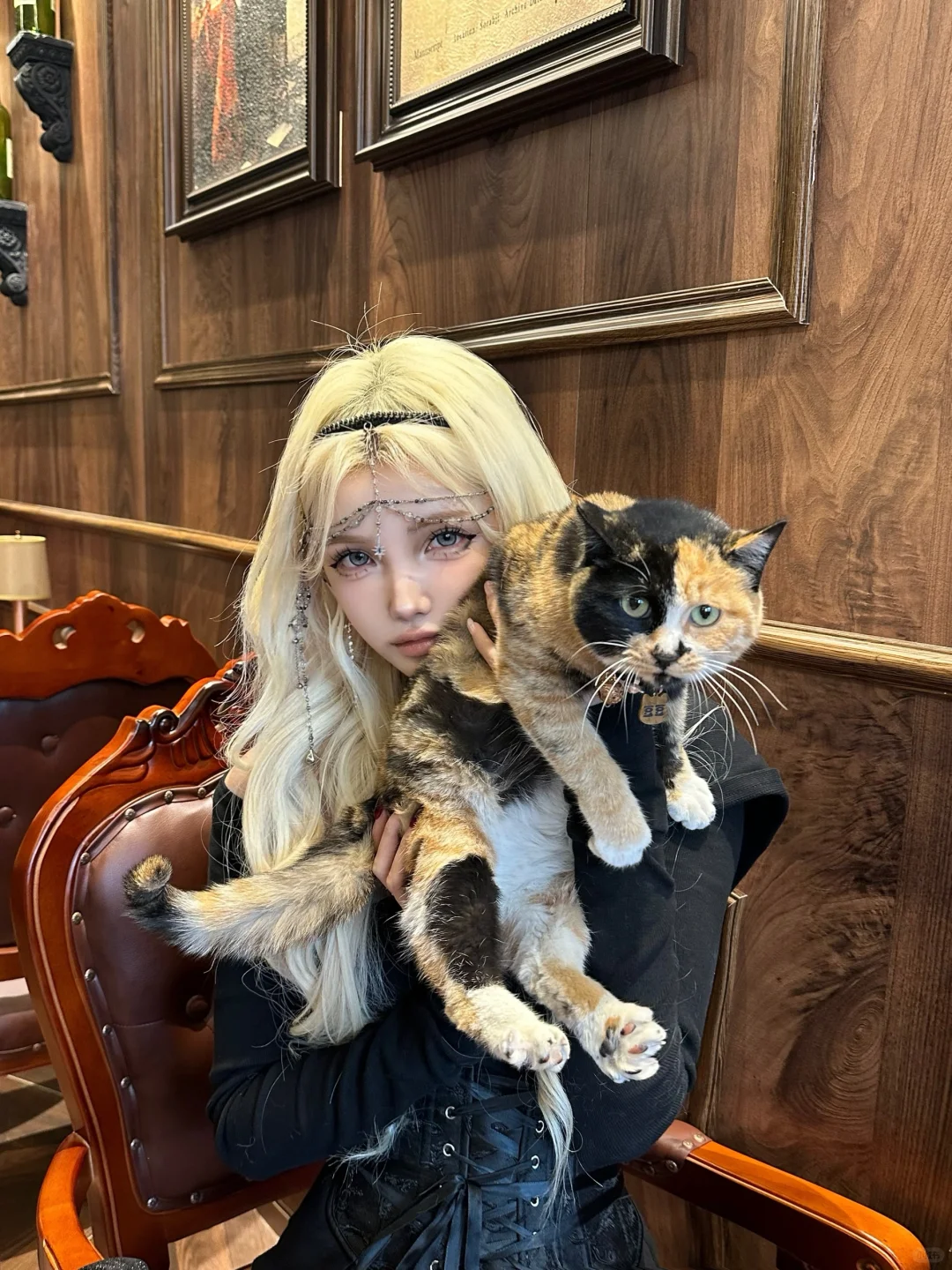 做我的猫🐱