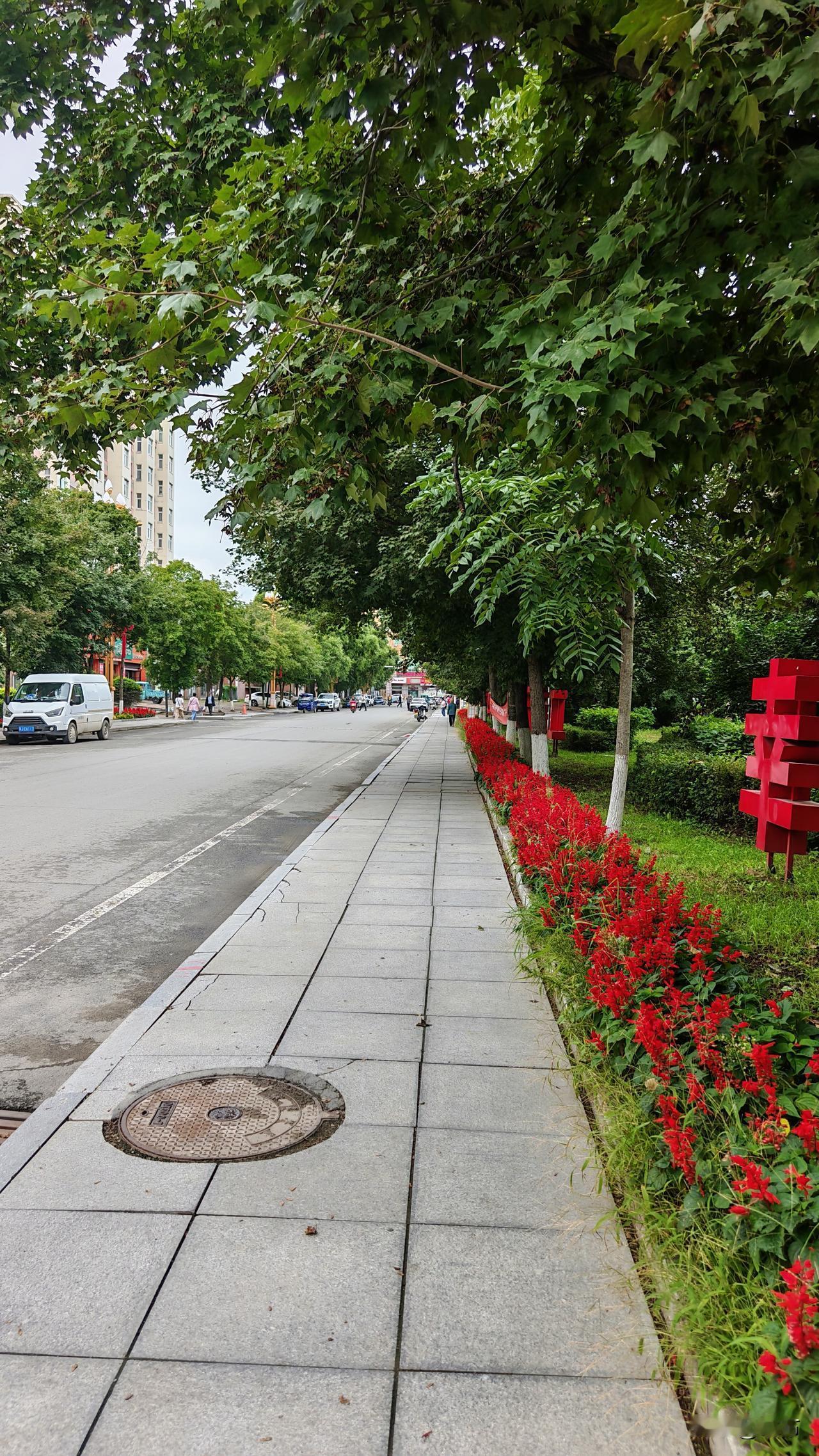 一条路，从春天走到秋天。