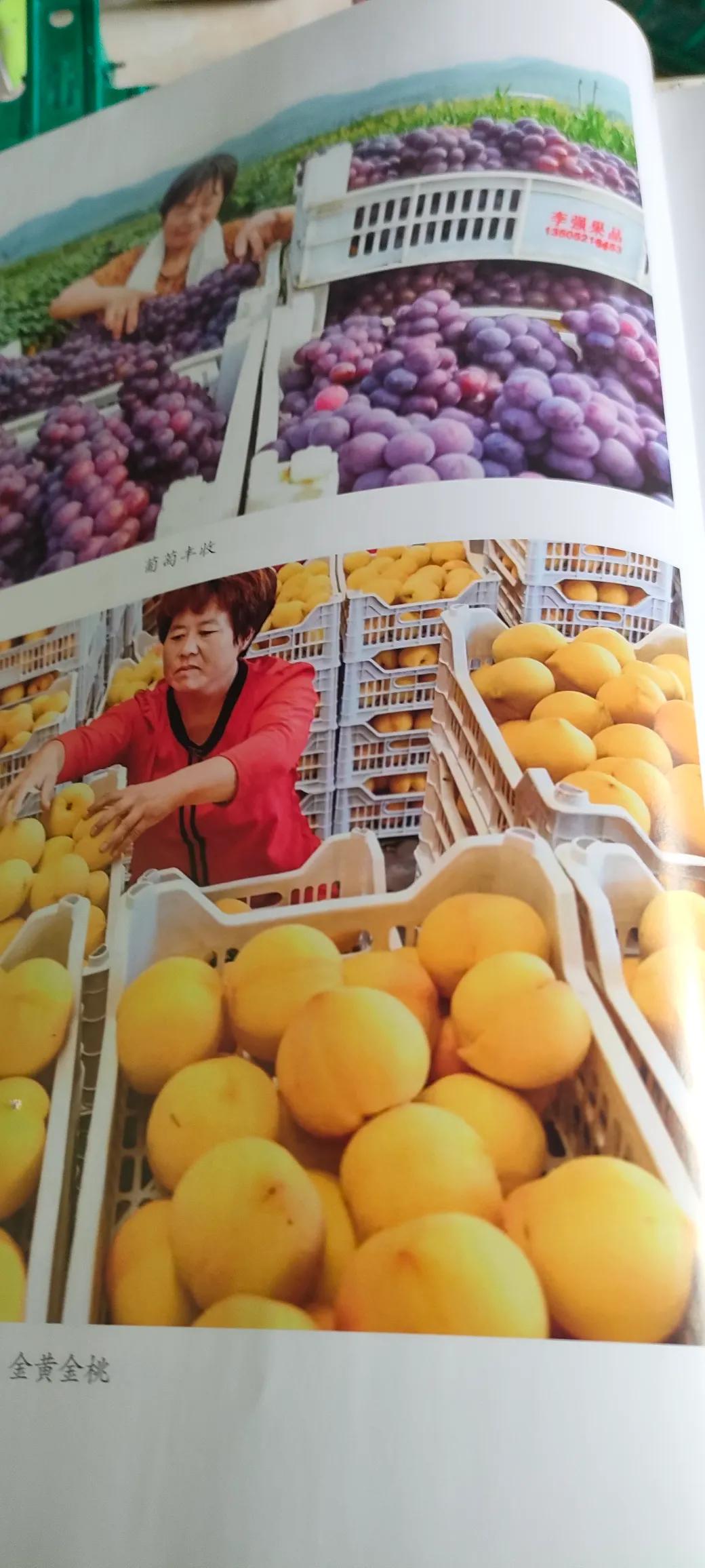 对对联
上原联
春暖山河秀
对下联
秋爽硕果丰
🙏🏻👩‍👩‍👧‍👦♥