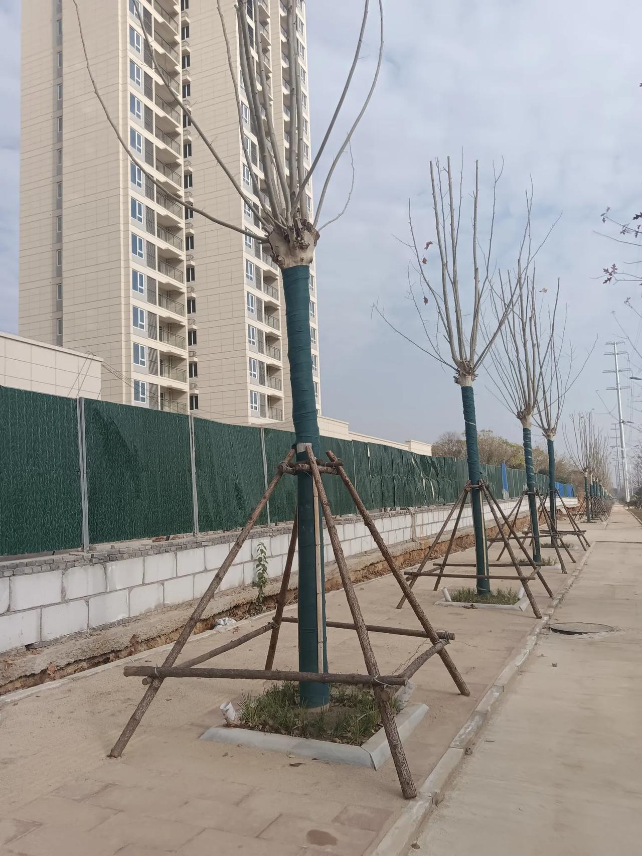 冬日生活打卡季鄂州华容3号路大家来过没有？这里拆迁还建房都建好了（如下图1、2）