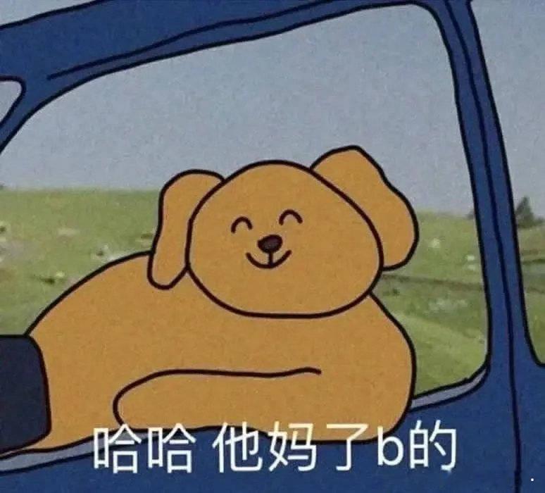 我和壬子破坏星走水运，一个伤官劫财一个枭印甲子，又尖锐又毒舌，都爱用庚杀杀杀然后
