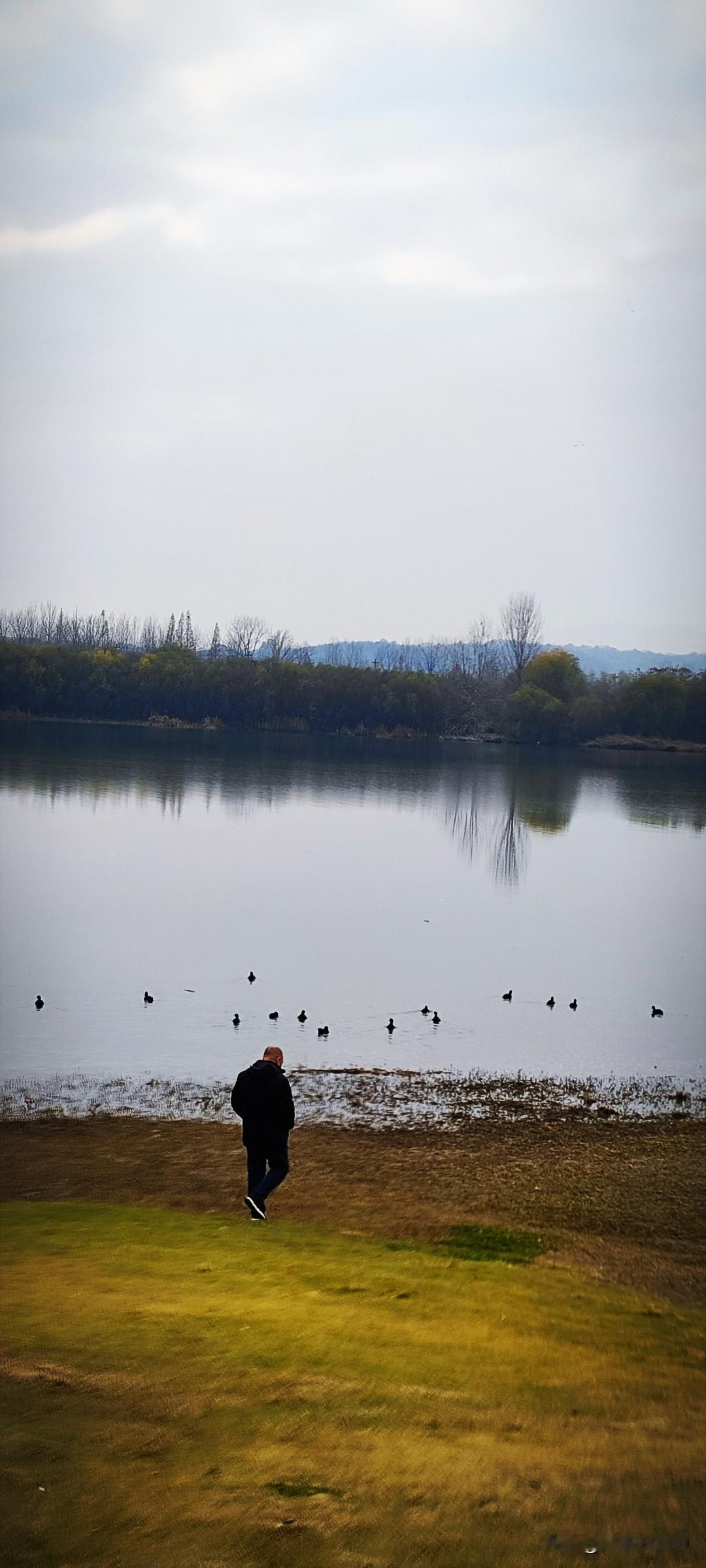 冬日生活打卡季冬日，没有那么多的旖旎景色。草色枯黄，天色黯淡，水面上的倒影也只有