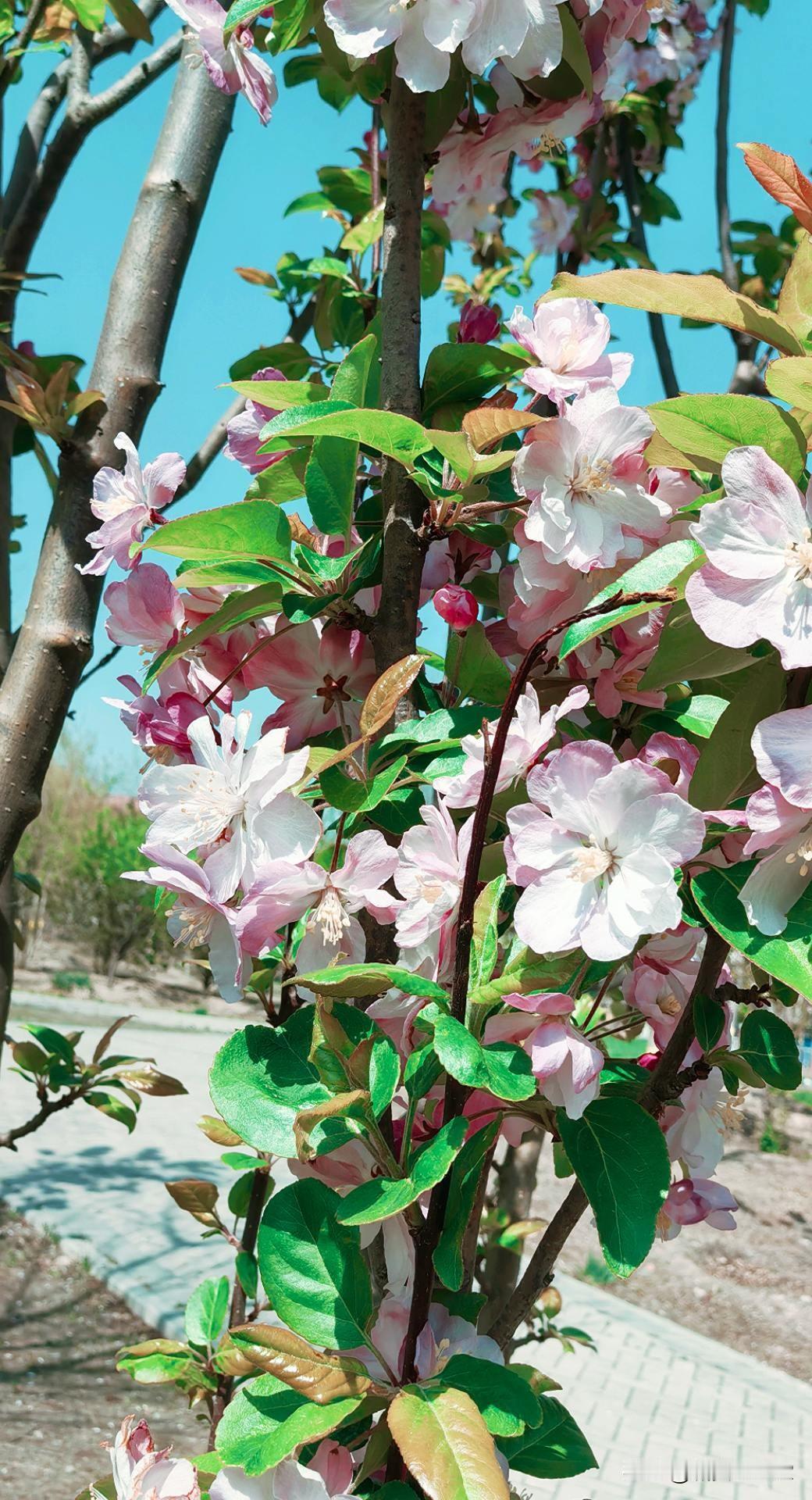 上联，书山有路勤为径，下联学海无涯苦作舟。