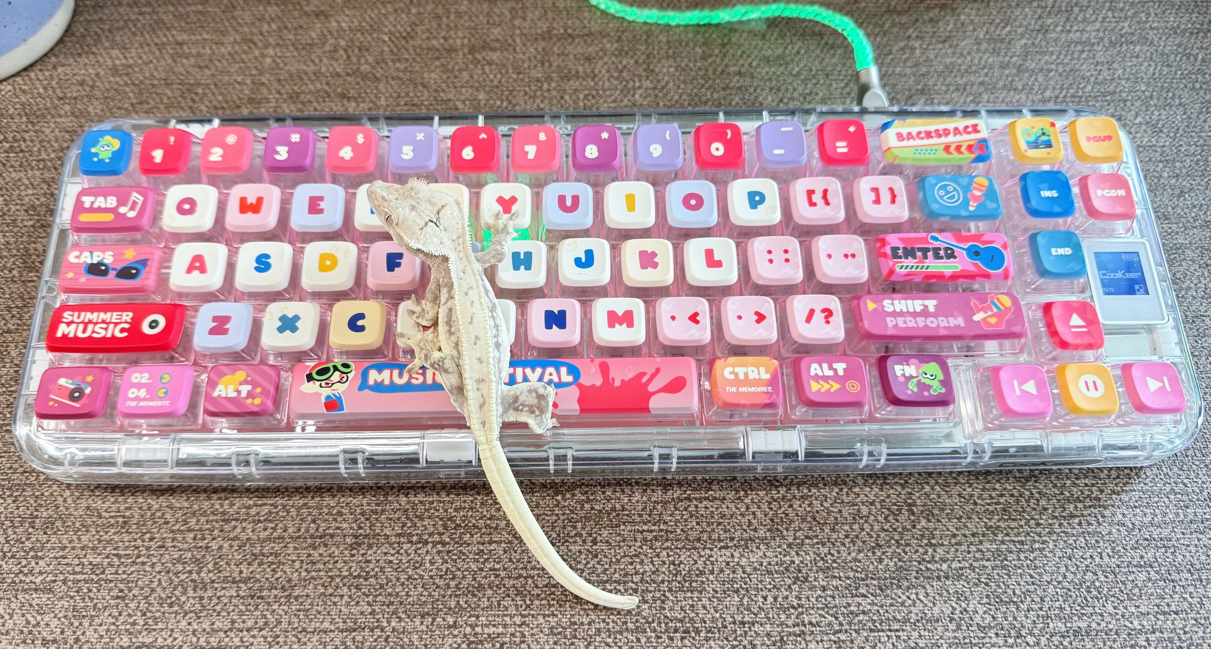 严肃打字中 