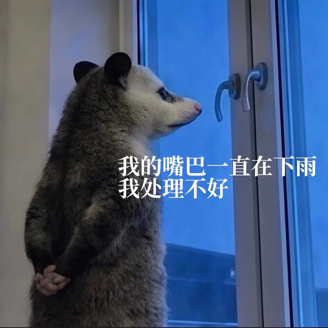 一觉醒来，看见昨天的视频，馋哭了