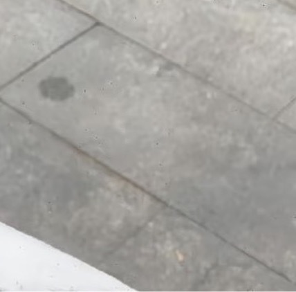 0000生活中，我们会接触到各种各样的看法和评价。请记得，一句夸奖，未必是你的全