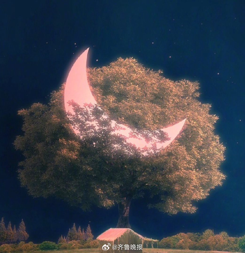 与时间好好妥协，尽可能留下美好回忆，那比什么都重要。#晚安# ​​​