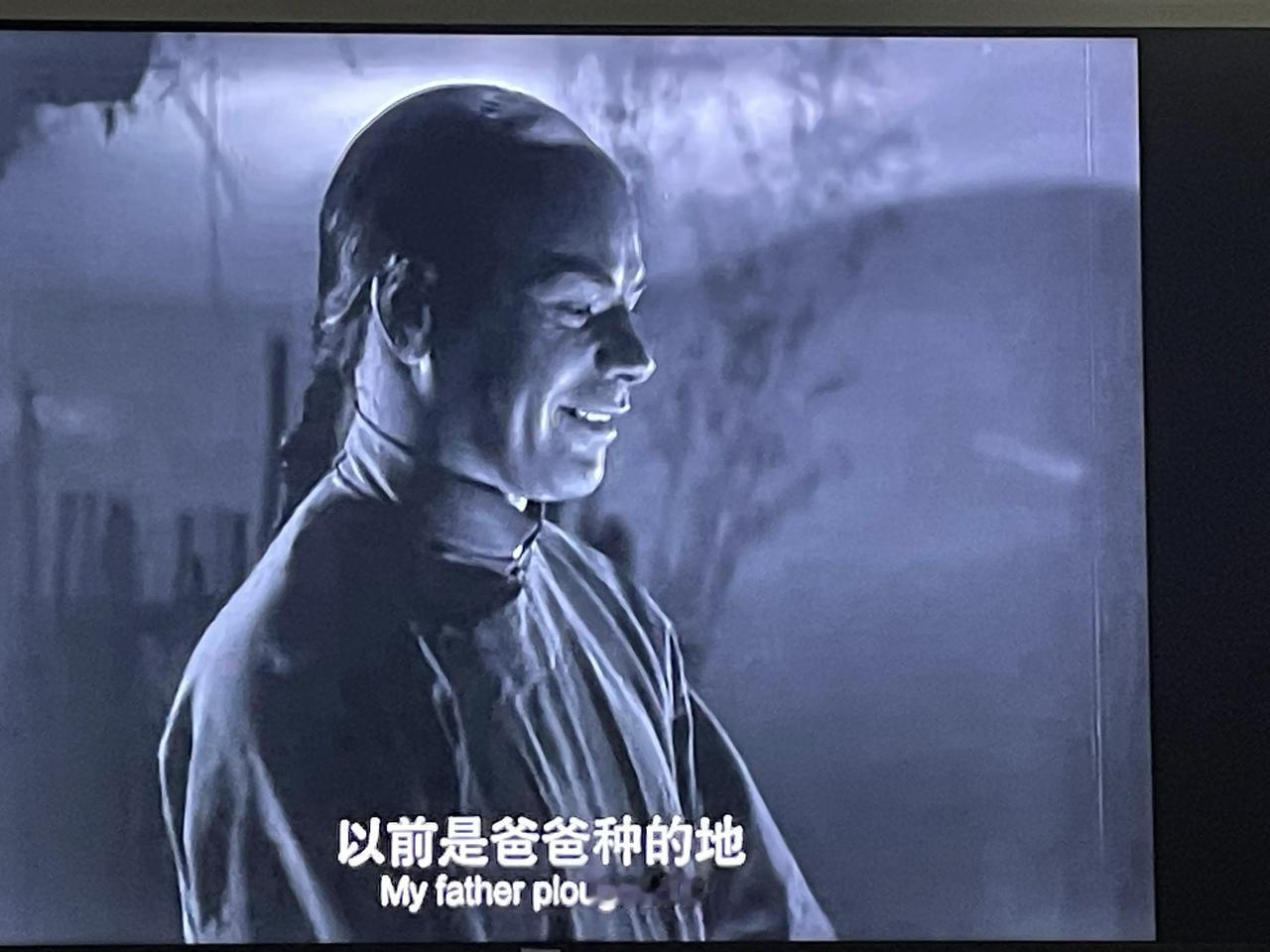 没想到《大地》拍过电影，1937年的美国电影。片名就叫《大地》，外国人演的，一口