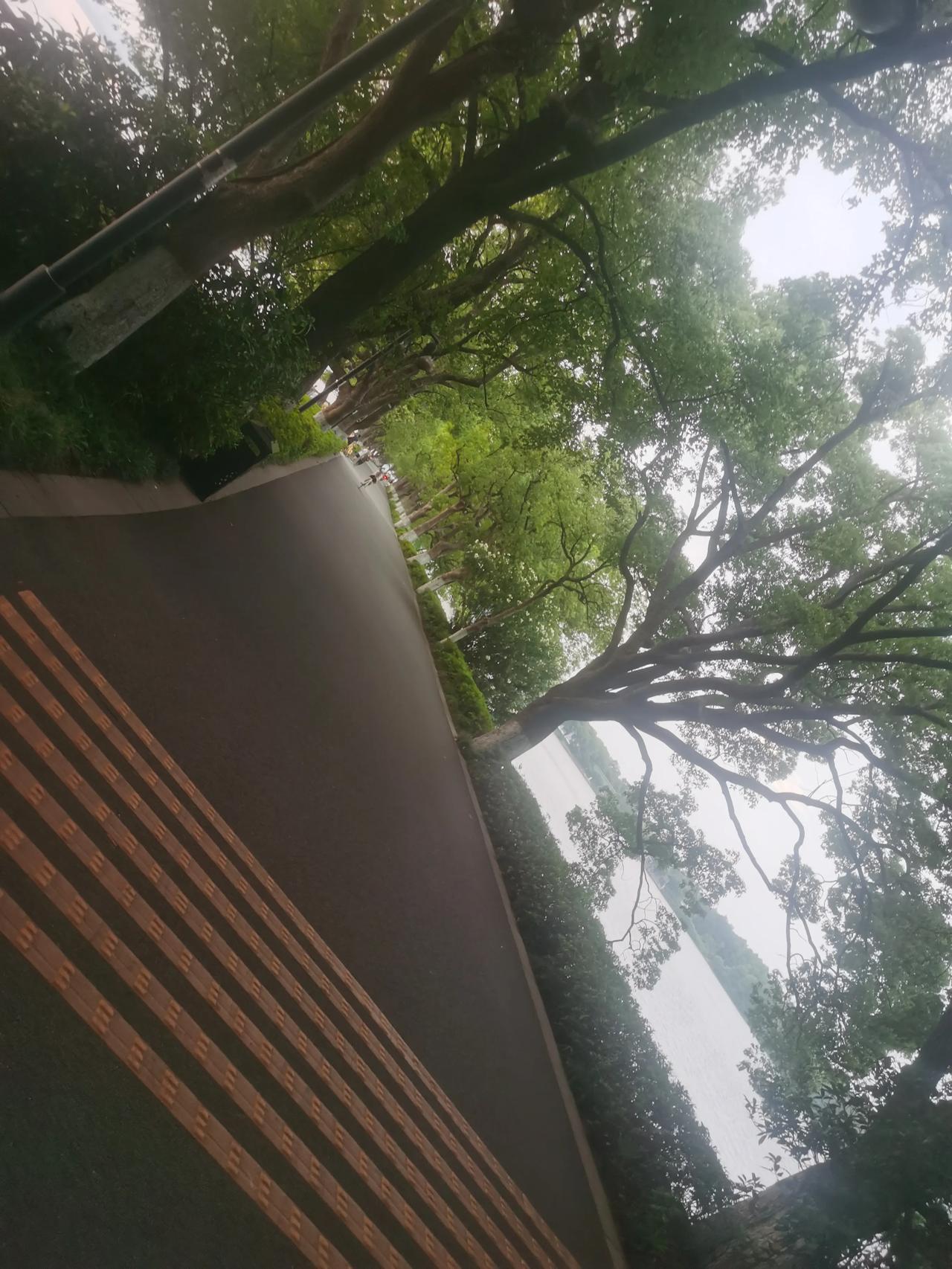 路在何方，路就在脚下。