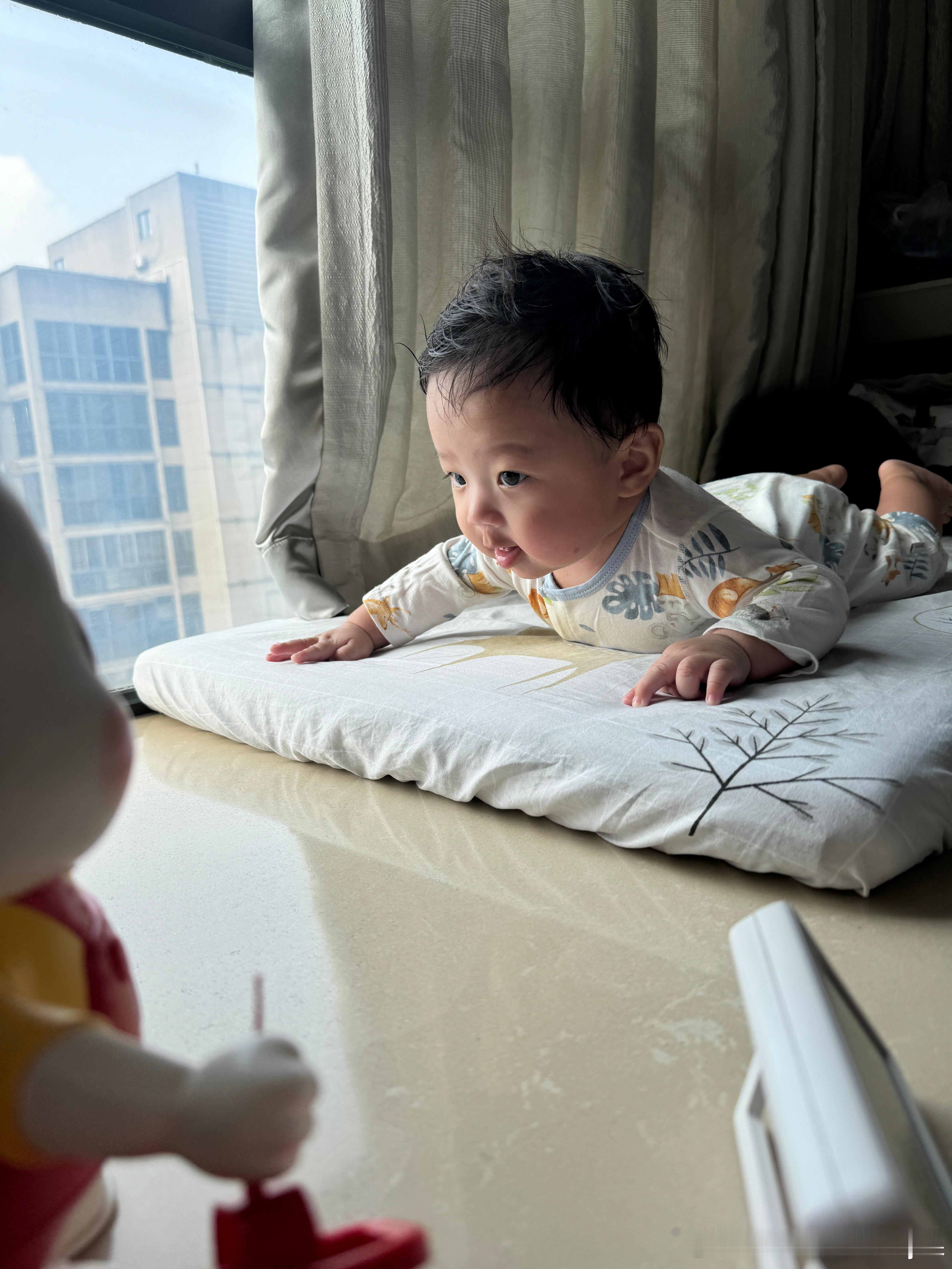 早安…小饼干 抬头训练  ​​​
