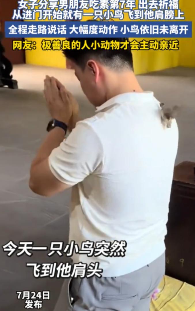 重庆一对情侣前往成都寺庙还愿，坚持吃素七年的男子，在还愿过程中突然被一只小鸟主动