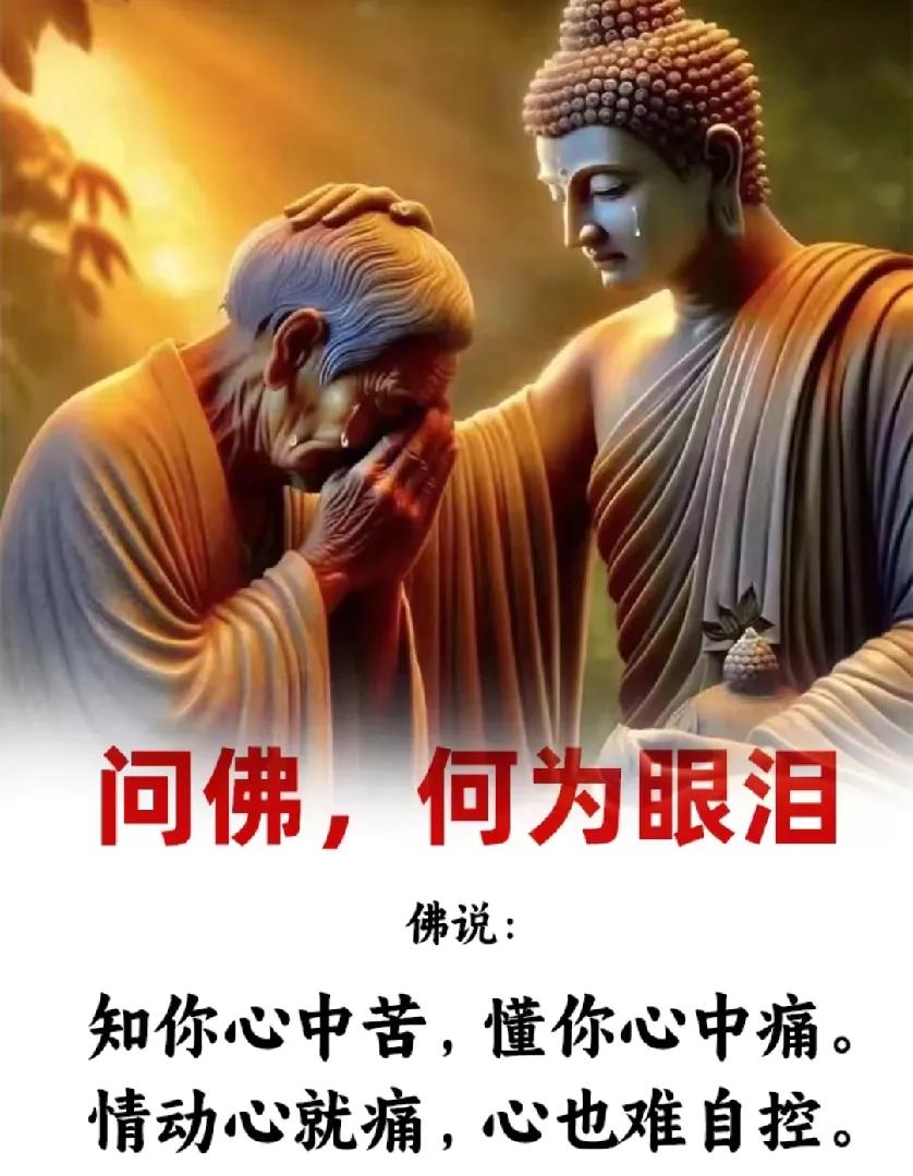 佛说：知你心中苦，懂你心中痛。
我问佛：