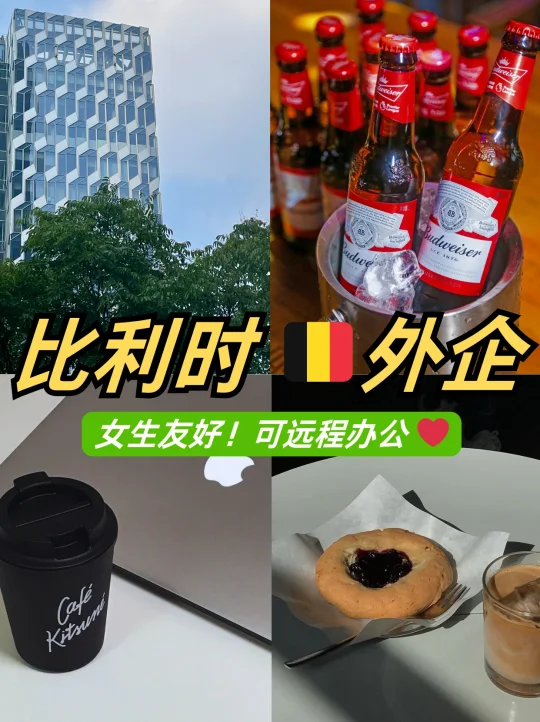 比利时外企🇧🇪女生友好、16周产假、远程办公