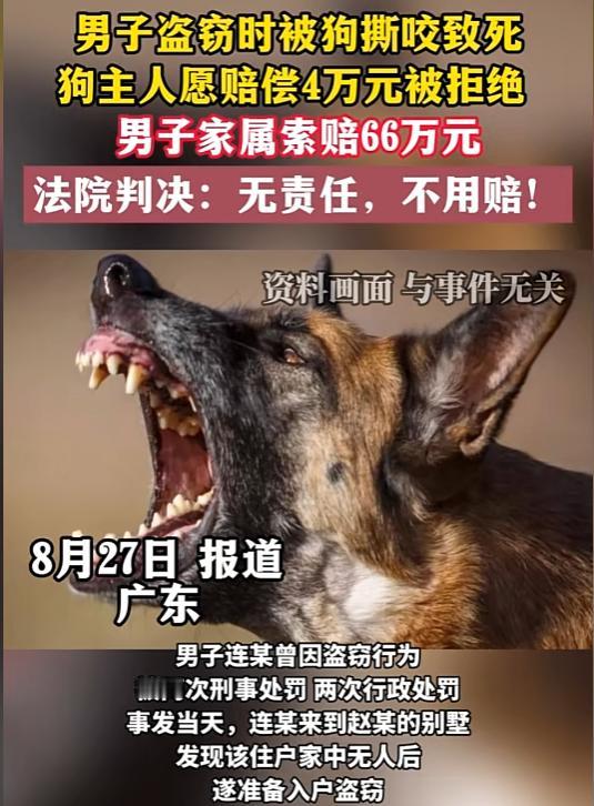 法不能向不法低头！2023年，广东，男子半夜翻墙进入独栋别墅准备盗窃，结果被院内