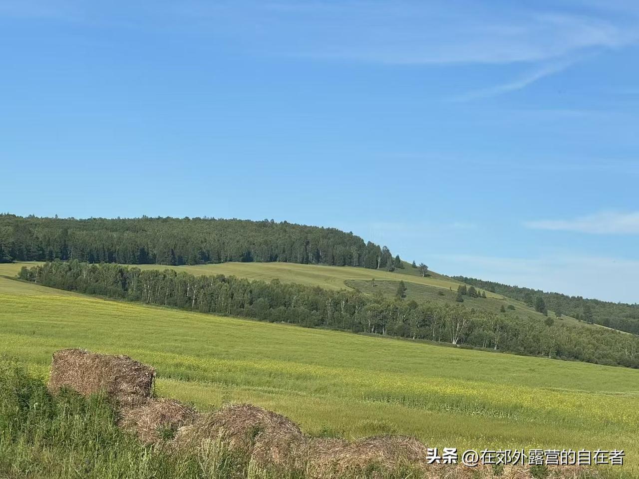 生活里难免遇到糟心事，被找茬、受委屈、遇不顺，谁还没点小情绪？但咱得学会“放过自