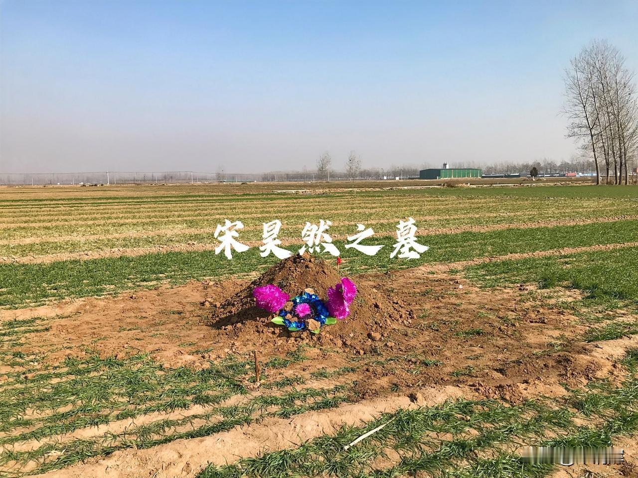 （1519）：孩子，下午好。今天深圳突然变天了，没有太阳，气温只有20摄氏度，稍