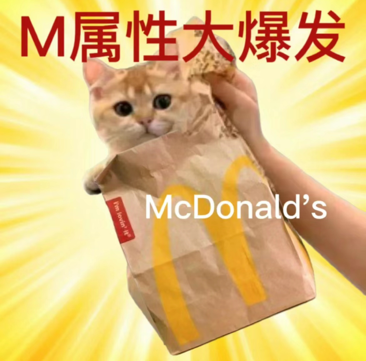 今天你m了嘛？ #麦当劳买回金拱门# ​​​