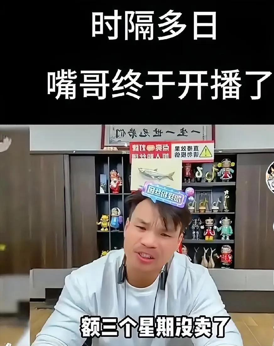 三只羊终于开播，先用嘴哥小号试水，承认道歉，保证以后不犯同样错误，人非圣贤孰能无