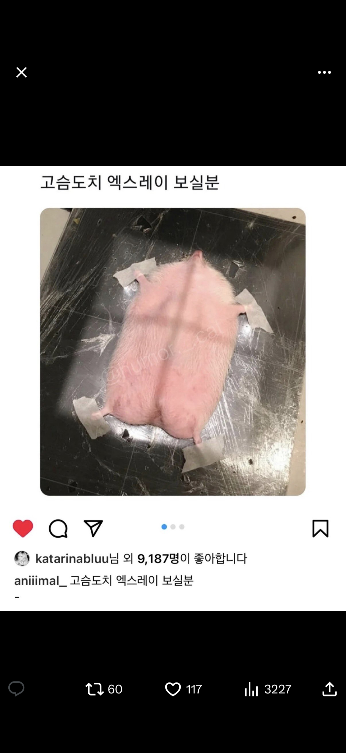 柳智敏你点的什么东西 