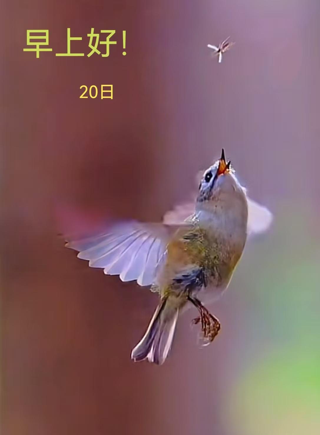 “你老师不就是教书本吗？别把自己看得有多了不起！”

一篇头条写了关于有些人动不