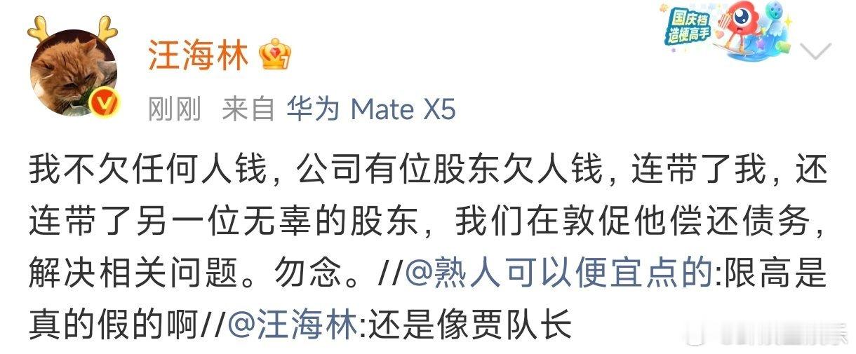 汪海林回应被限高汪海林回应被限高，说不欠任何人钱，是被公司的股东连带了！汪海林说