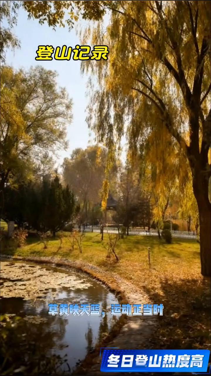 冬日登山热度高。
冬日登山去哪嗨？仁寿山赛事等你来。
橙黄山密披暖阳，村落炊烟绕