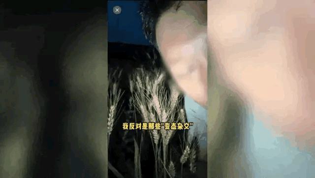 究竟是哪个农业网红在诋毁我们的袁老，将杂交水稻污蔑成“变态杂交”？
为了流量，为