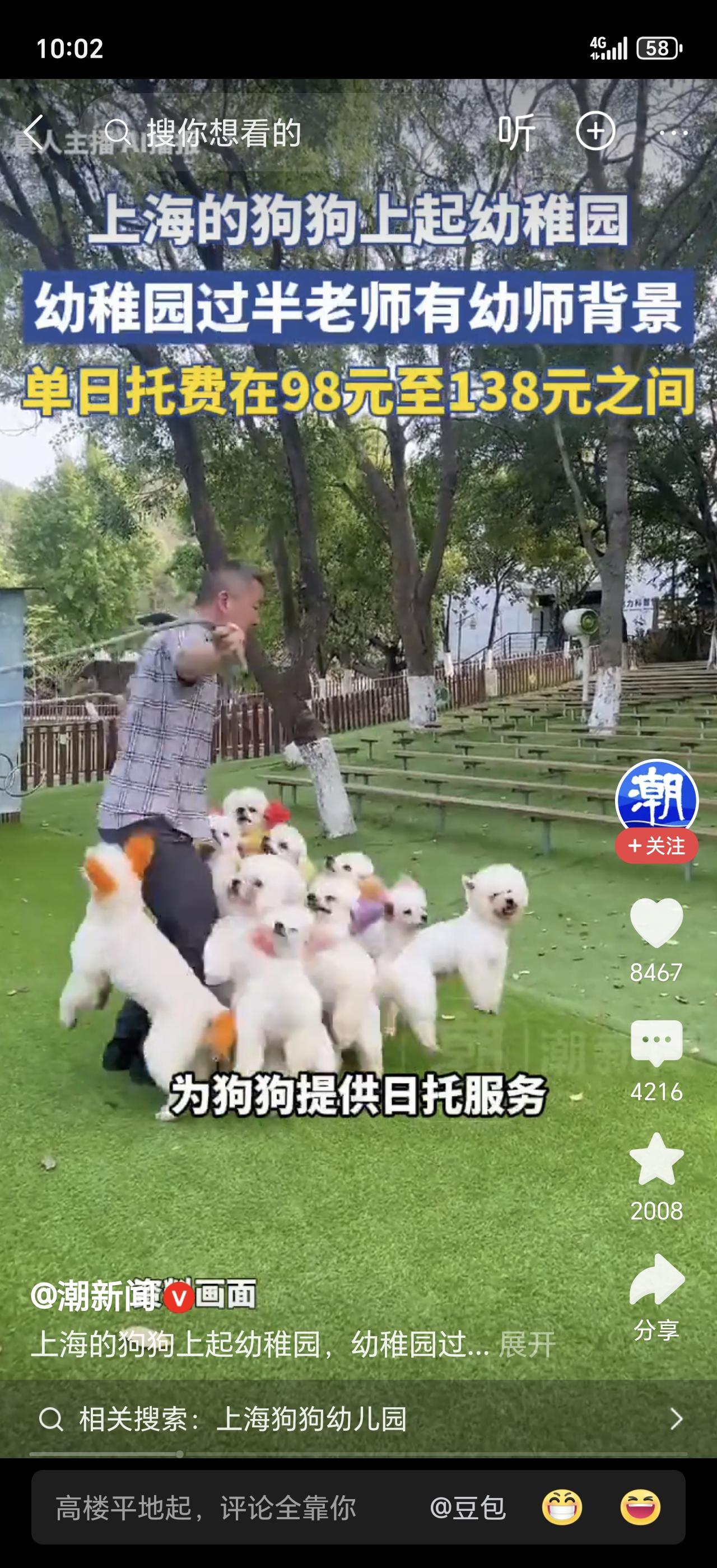 太狠了！95后女生每月花1.2万送狗上学，课程包括语文、数学、社交！网友炸锅：这