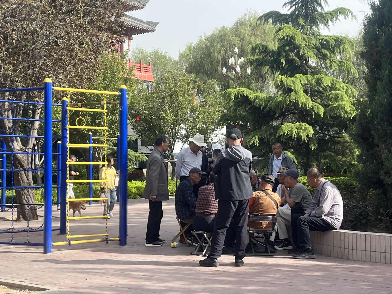 五一假期日记突然很羡慕这些人，无论是不是假期，他们风雨无阻地在这里打牌，过着悠哉