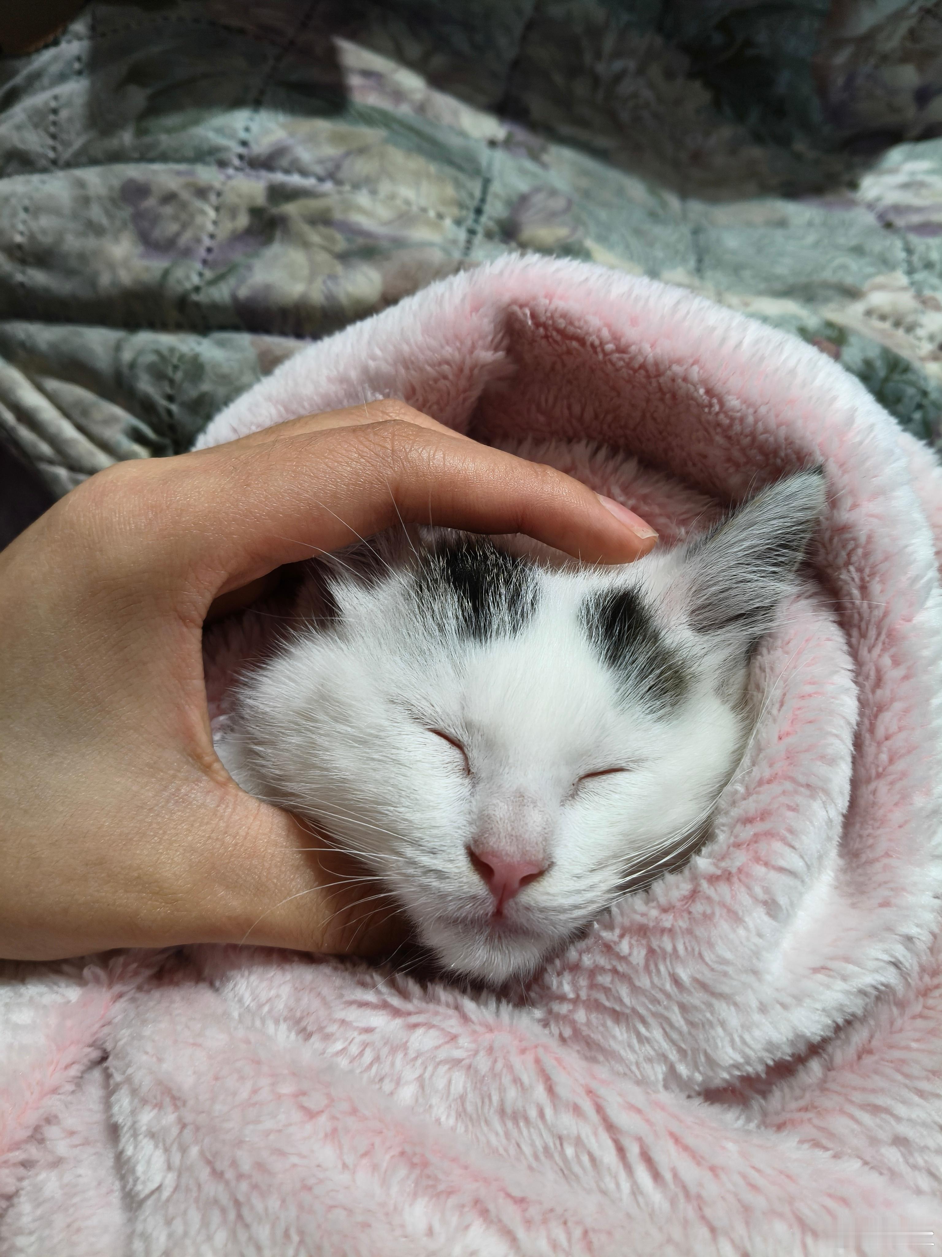 团团快好起来不要再生病了 