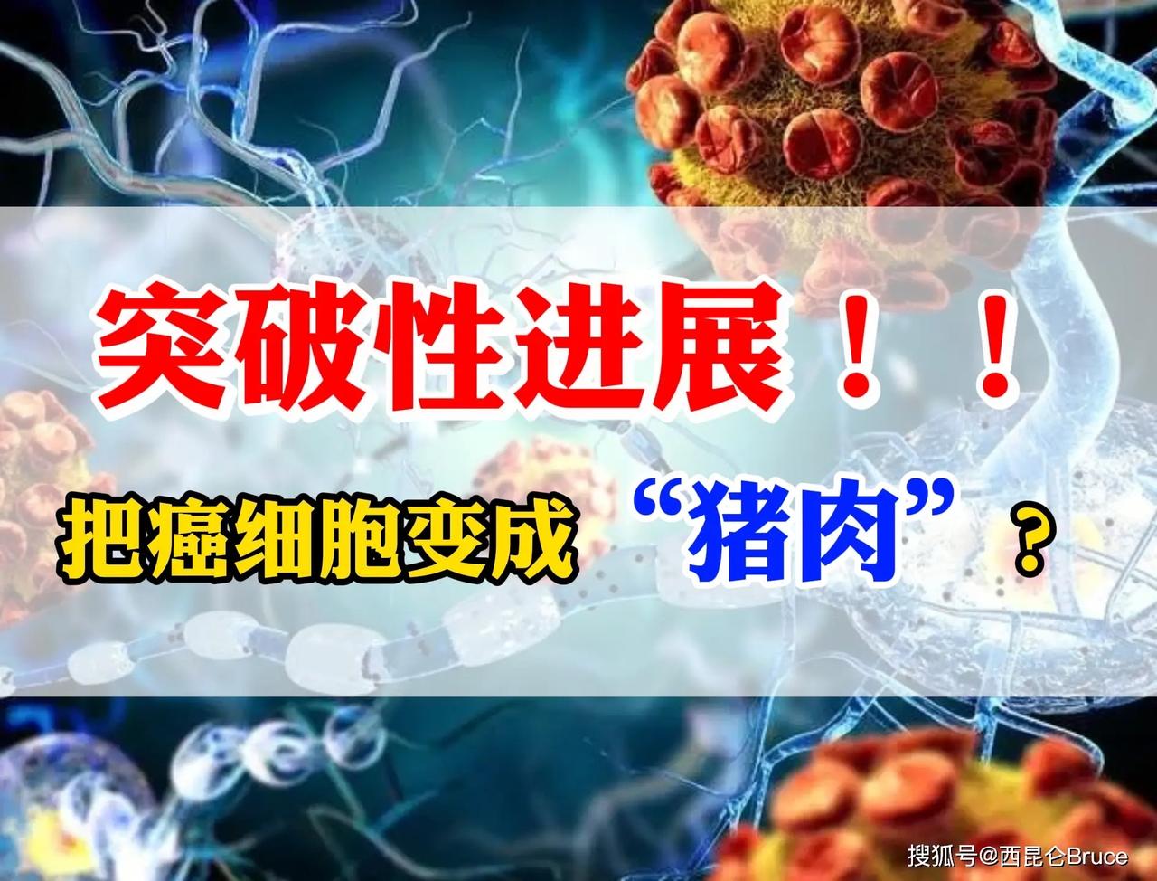 精准杀伤癌细胞利器落地中国！从“谈癌色变”到“精准克癌”，我们终于赢了

当体检