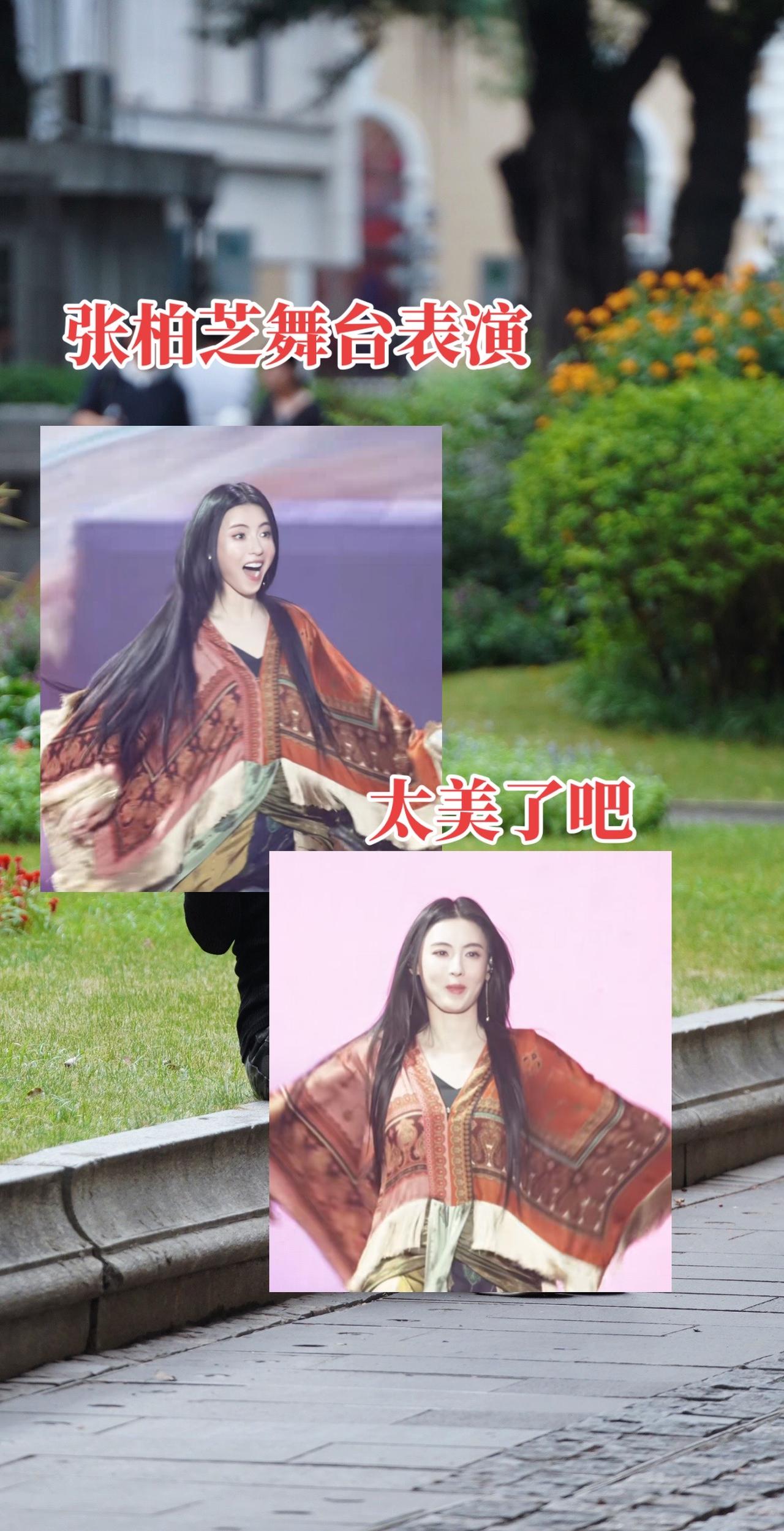 张柏芝