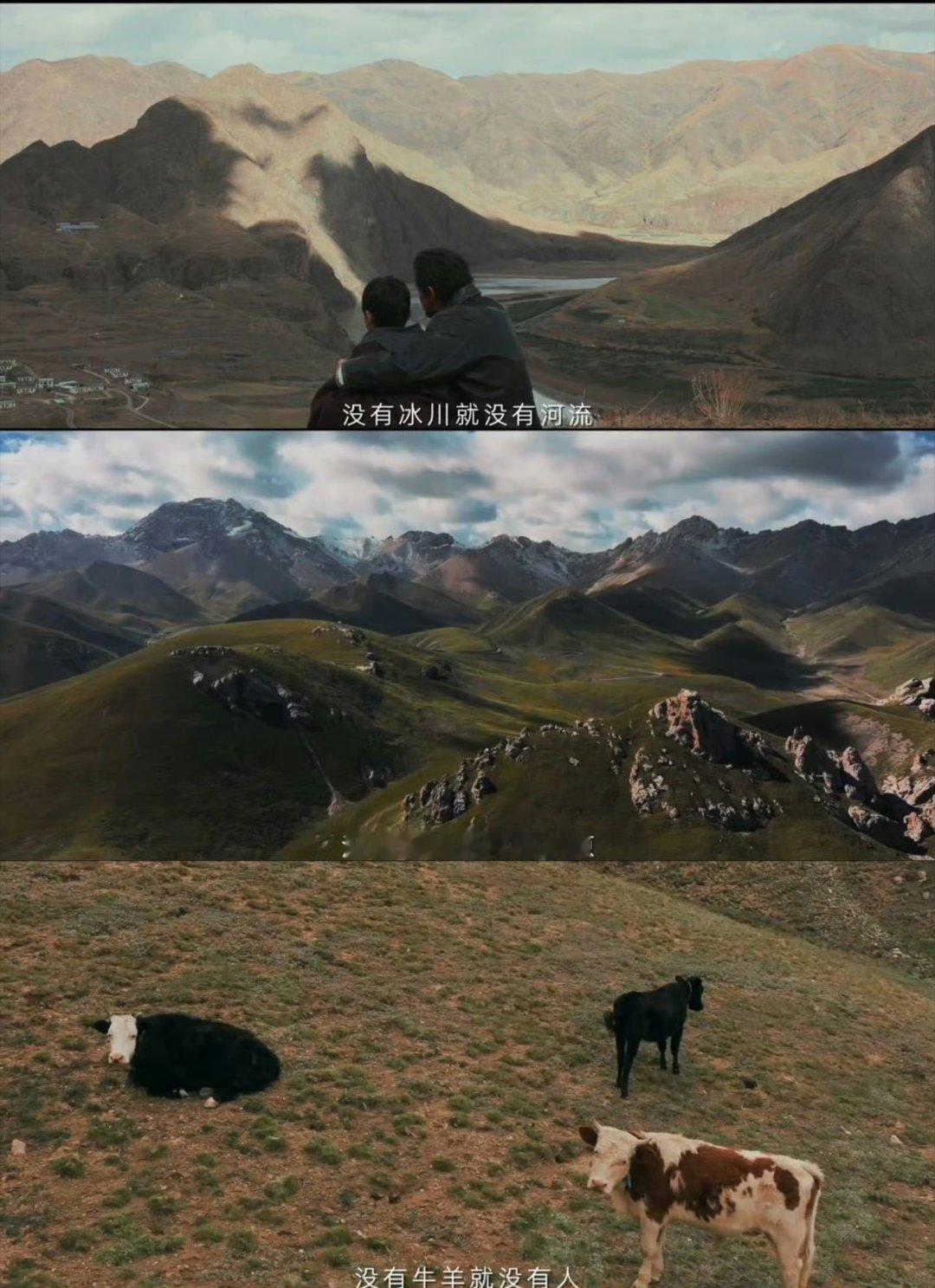 胡歌再次和角色合二为一了 胡歌演多杰太贴了，野牦牛的韧劲全诠释出来了 