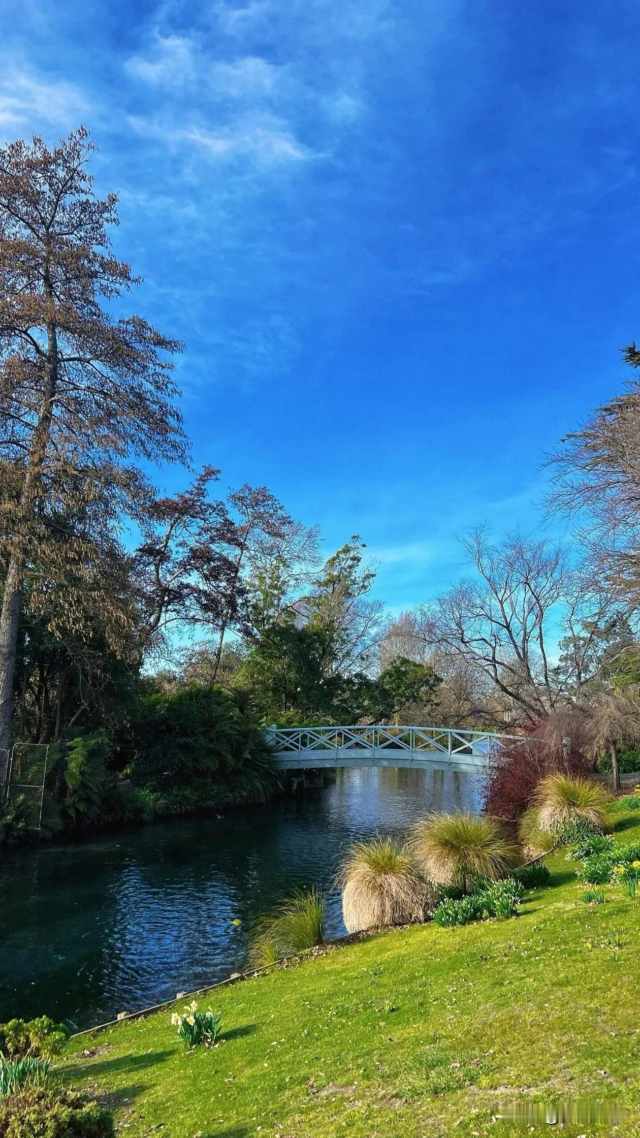 #秋日生活打卡季##治愈系美景照# #手机风景照分享# #分享美景照片# #美景