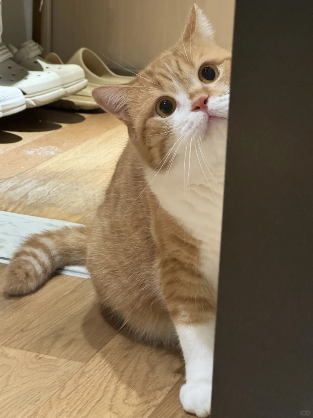 我会永远监视你…永远