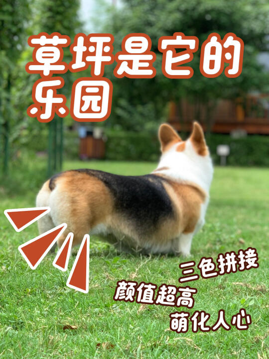 在最爱出去玩的季节，遇上了不能洗澡的时间