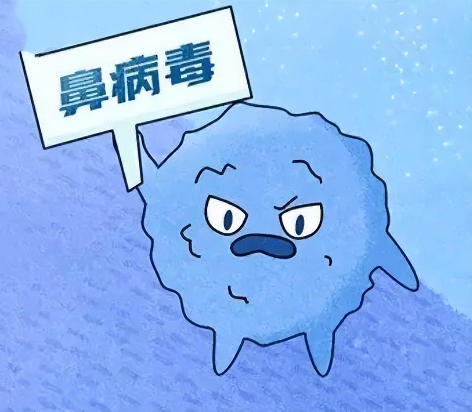 热搜第一的鼻病毒，竟是潜伏68年的“感冒老油条”！

最近刷朋友圈、刷热搜，一半