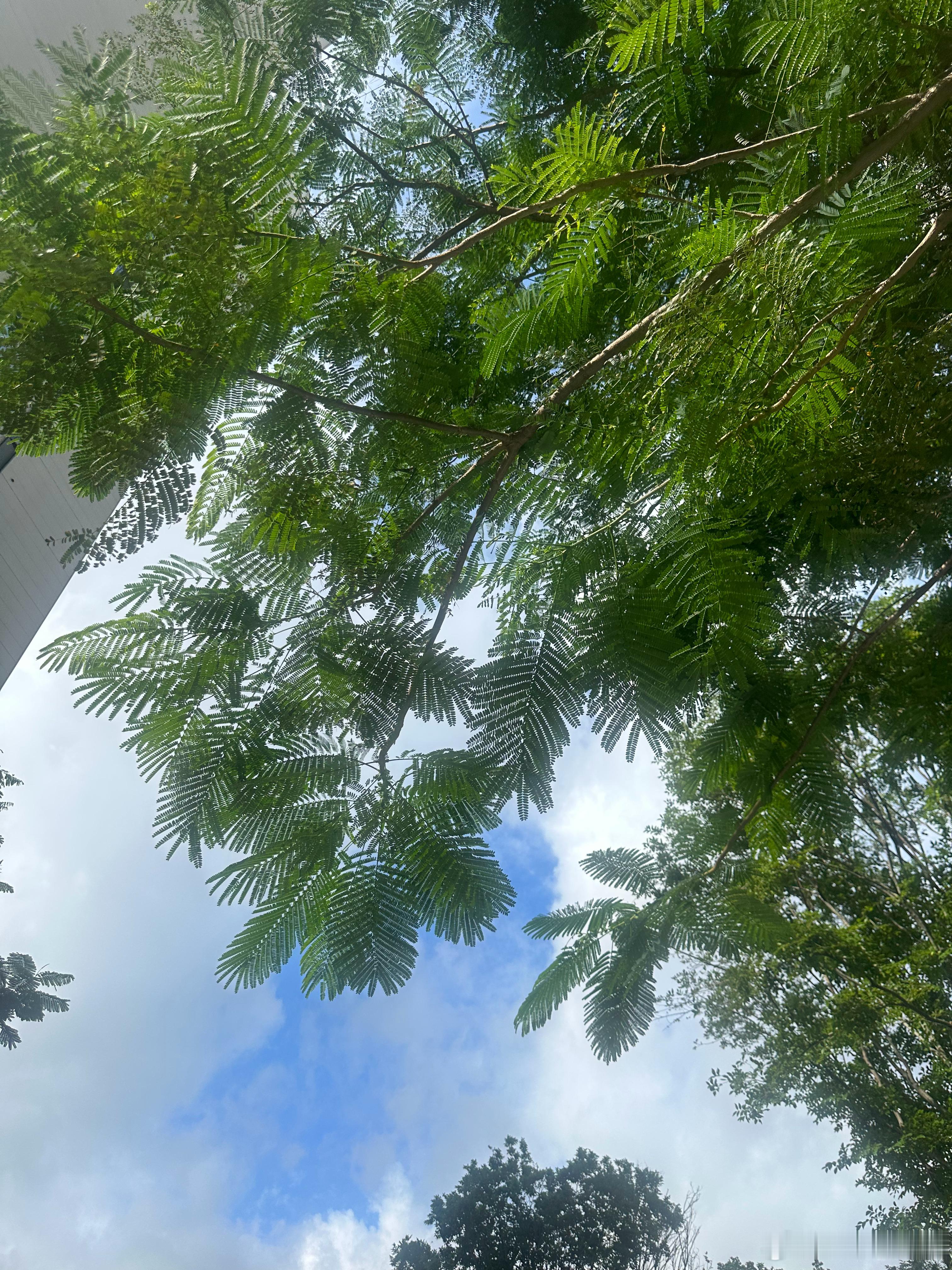 生活就像一杯温水，平淡却很解渴，日子就像一缕晨光，普通却又温暖。认真过好每一天，