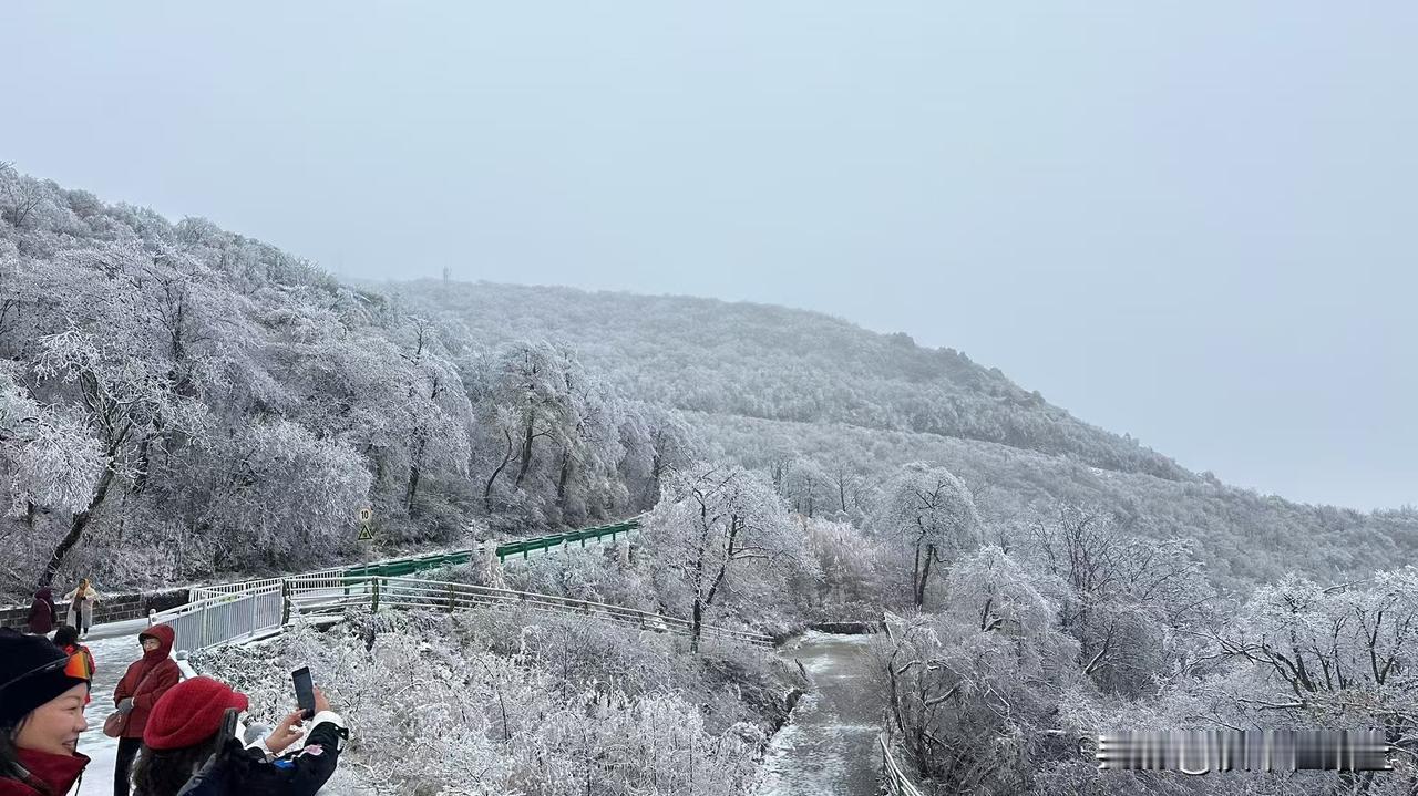 【汉中龙头山雪景实拍】18日汉中龙头山雪景实拍，山顶雾凇悄然出现，晶莹剔透，映衬