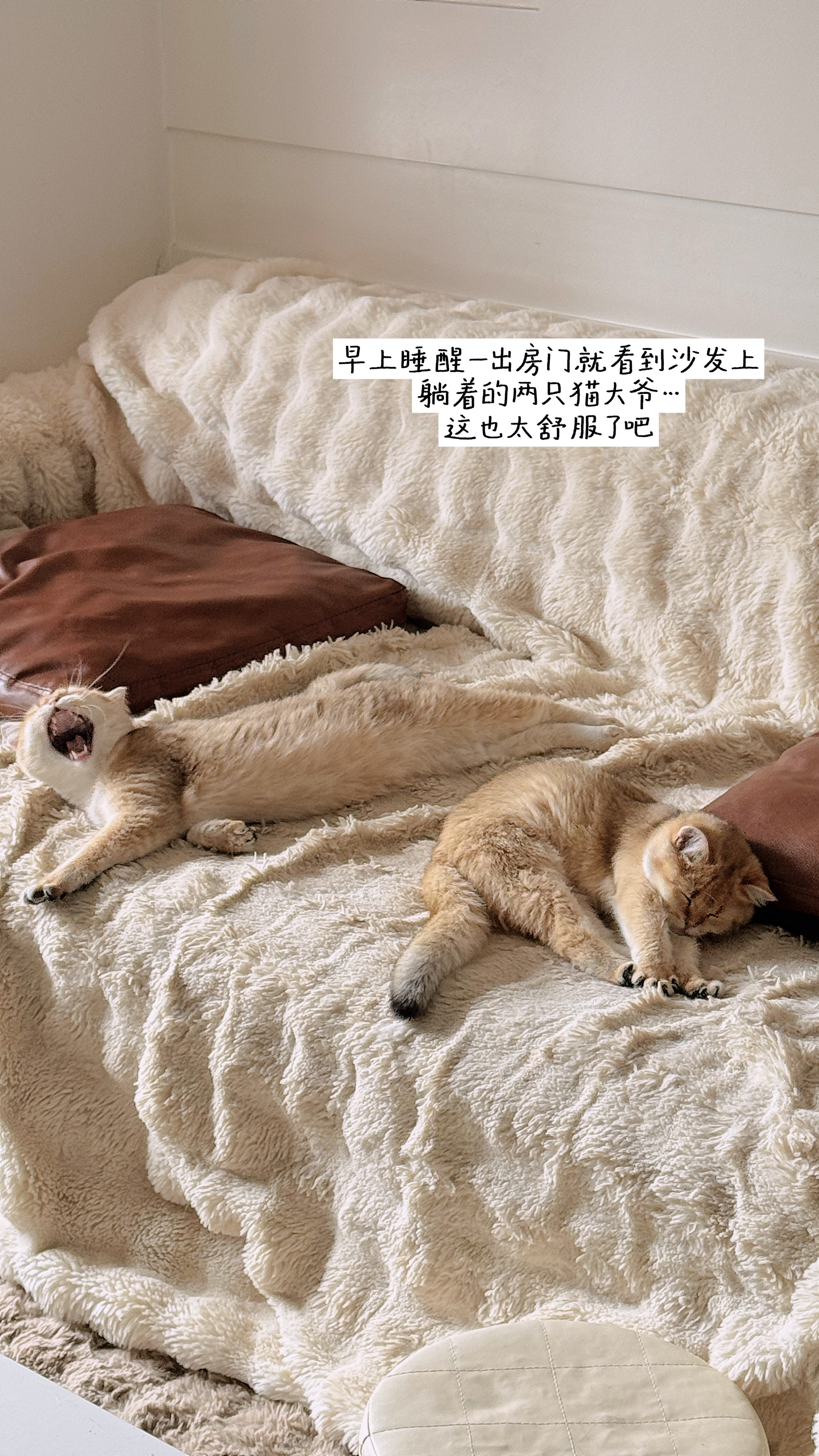 上帝为每一只笨鸟都留了一根比较低的树枝活着就好 没有那么多可以丈量生命的尺plo