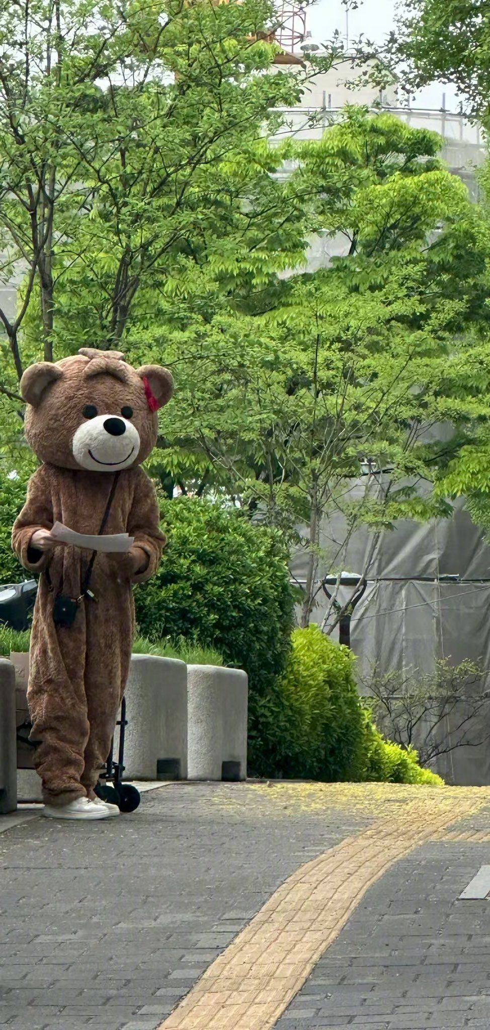 【Theqoo】实时现身梨花女子大学与淑明女子大学的"熊玩偶"李彩演，亲自发放回