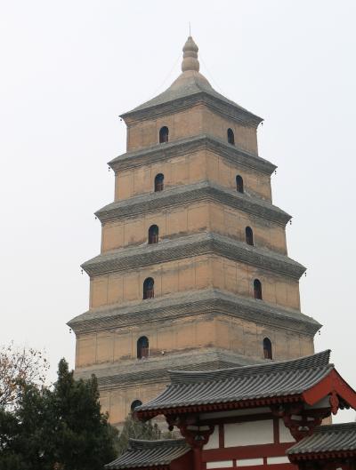 今天咱们聊一所特别值得关注的大学——陕西科技大学。
为什么要聊它？因为很多人一听