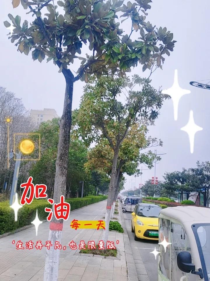 作为子女的竟然一个劲的盼望着自己的父亲早点咽气。
农村的老人死一个是给孩子减轻了