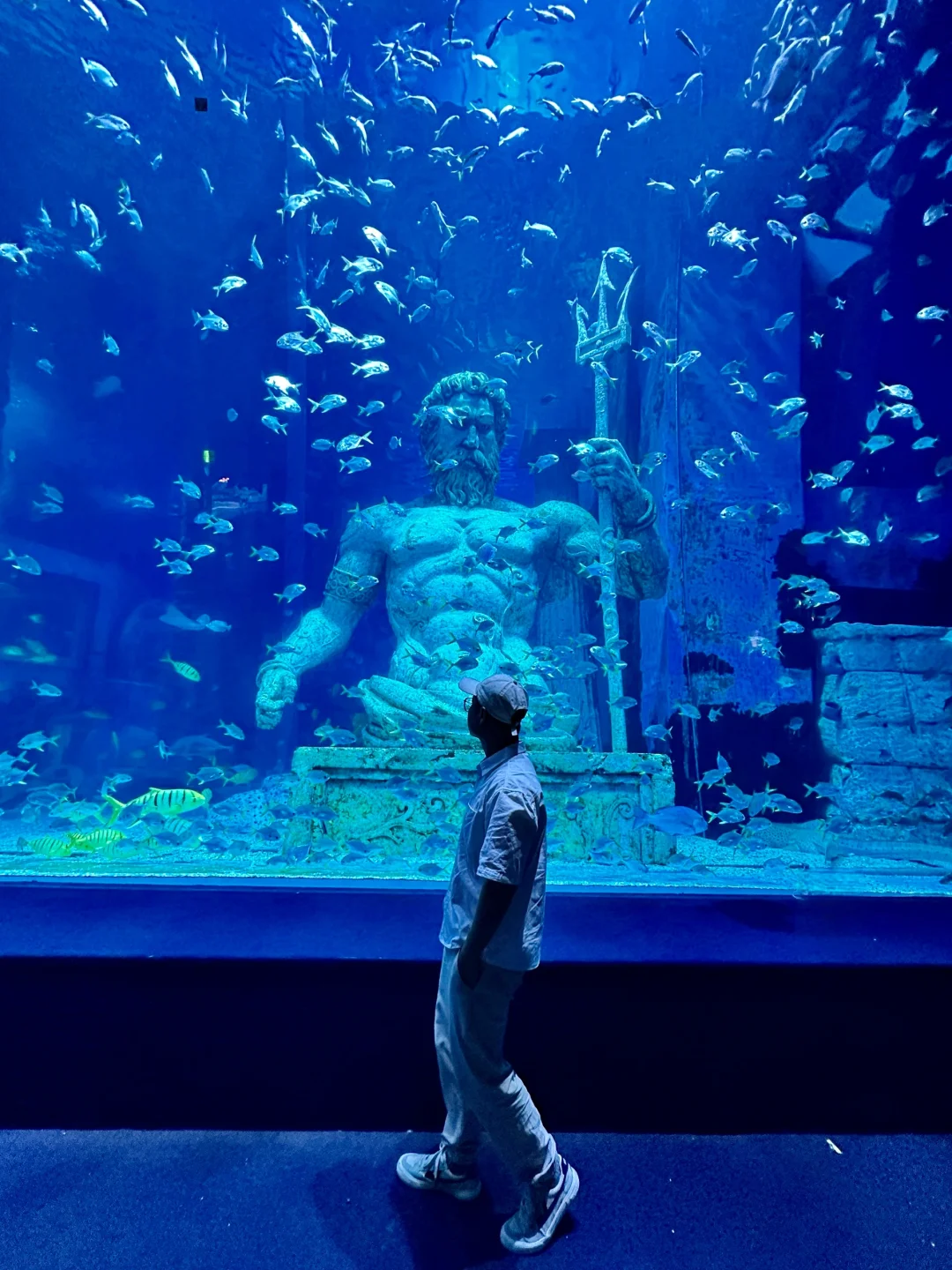 暑假总要去一趟海洋世界吧🐟🫧